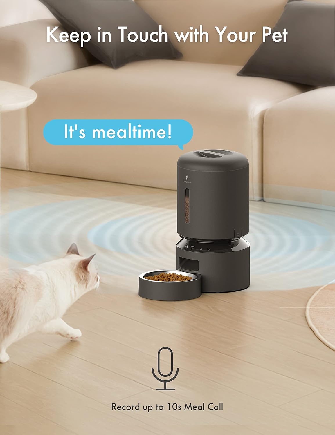 Buy PETLIBRO Automatic Cat Feeder, 5G WiFi Pet Feeder with APP Control