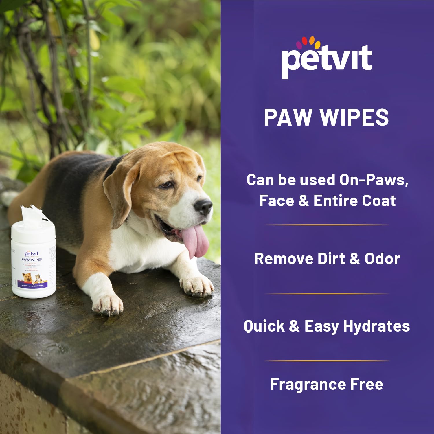 Petvit Nose and Paw Wipes for Eliminates Bacteria, Virus, Fungus, Odor - Fragrance Less 50 Wipes |for All Age Group 1