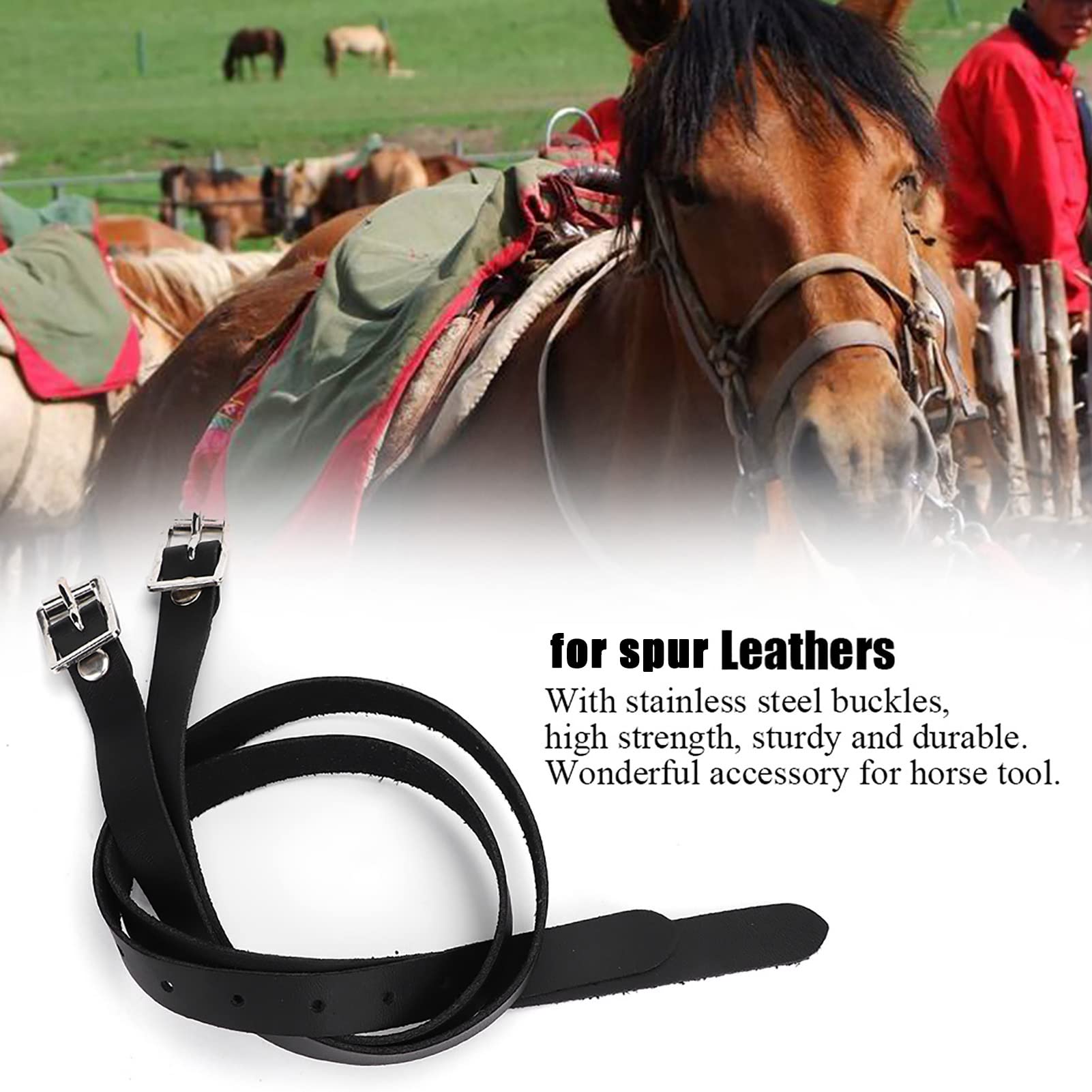 Sangle en cuir Naira - CLARIDGE HOUSE Selles & accessoires - Equitation