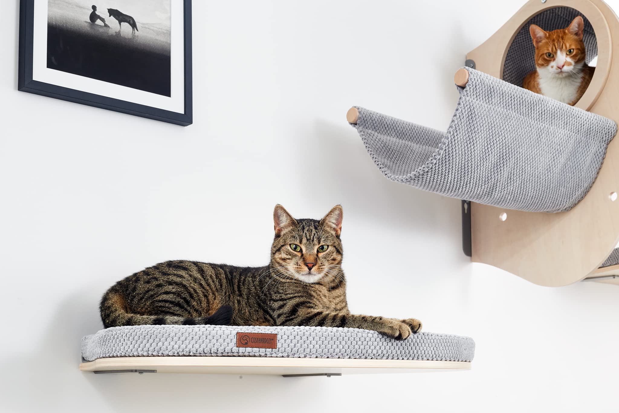 COSY AND DOZY Hamaca para pared de escalada para gatos, para montaje en pared, 68 x 47 cm, tumbona para gatos con colchón de 3 cm, muebles de pared para gatos, estantes para gatos