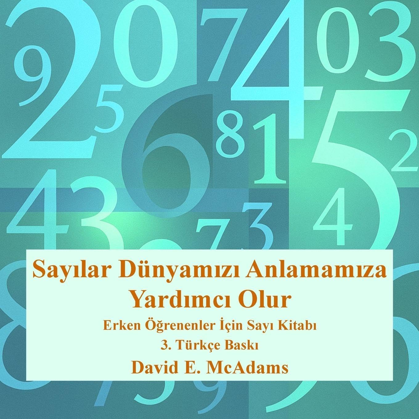 Sayılar Dünyamızı Anlamamıza Yardımcı Olur: Erken Öğrenenler İçin Sayı Kitabı (Çocuklar İçin Matematik Kitapları)