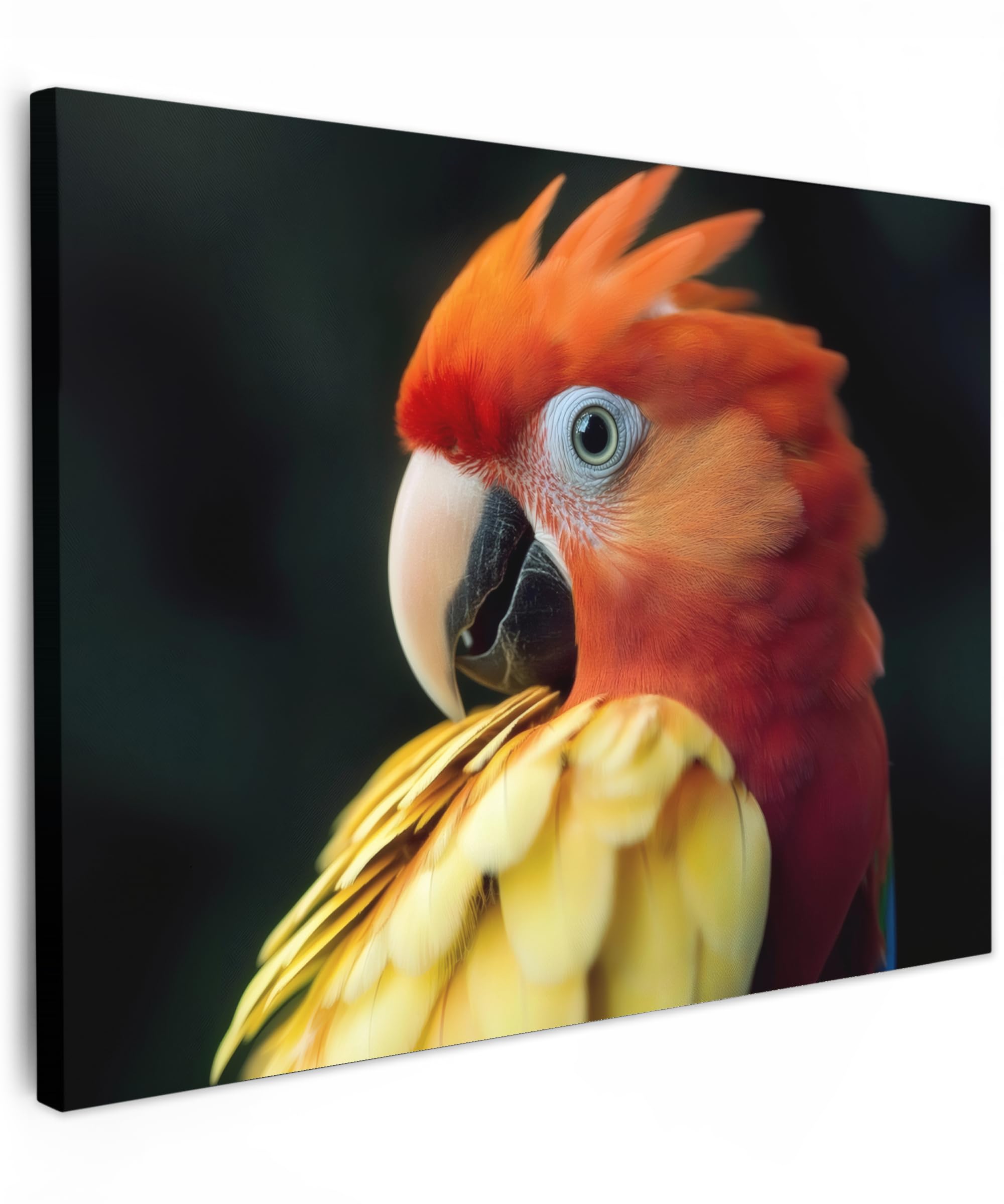 MuchoWow© Canvas Wall Art 31"x24" / 80x60 cm Home Decor Paintings for Living Room Decorations Gifts Hallway Close-Up - Parrot - Feathers - Orange