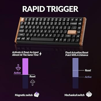Keychron K2 HE ラピッドトリガー ワイヤレス 定価27,940円 Amazon.com: Keychron K2 HE Rapid Trigger Wireless Custom