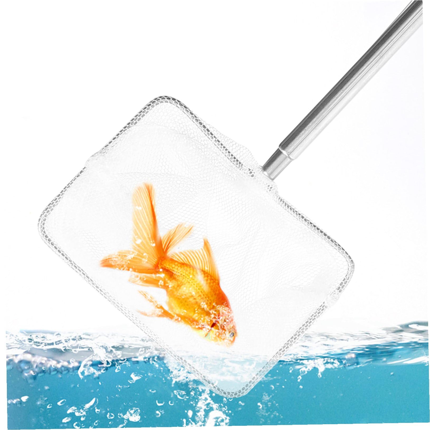YARNOW Red de Pesca del Tanque de Peces Red de Piscina Redes para Pescar Ancla alimentador decoración Neto bajo Red de Malla para pecera Red de Pesca de camarones Nylon