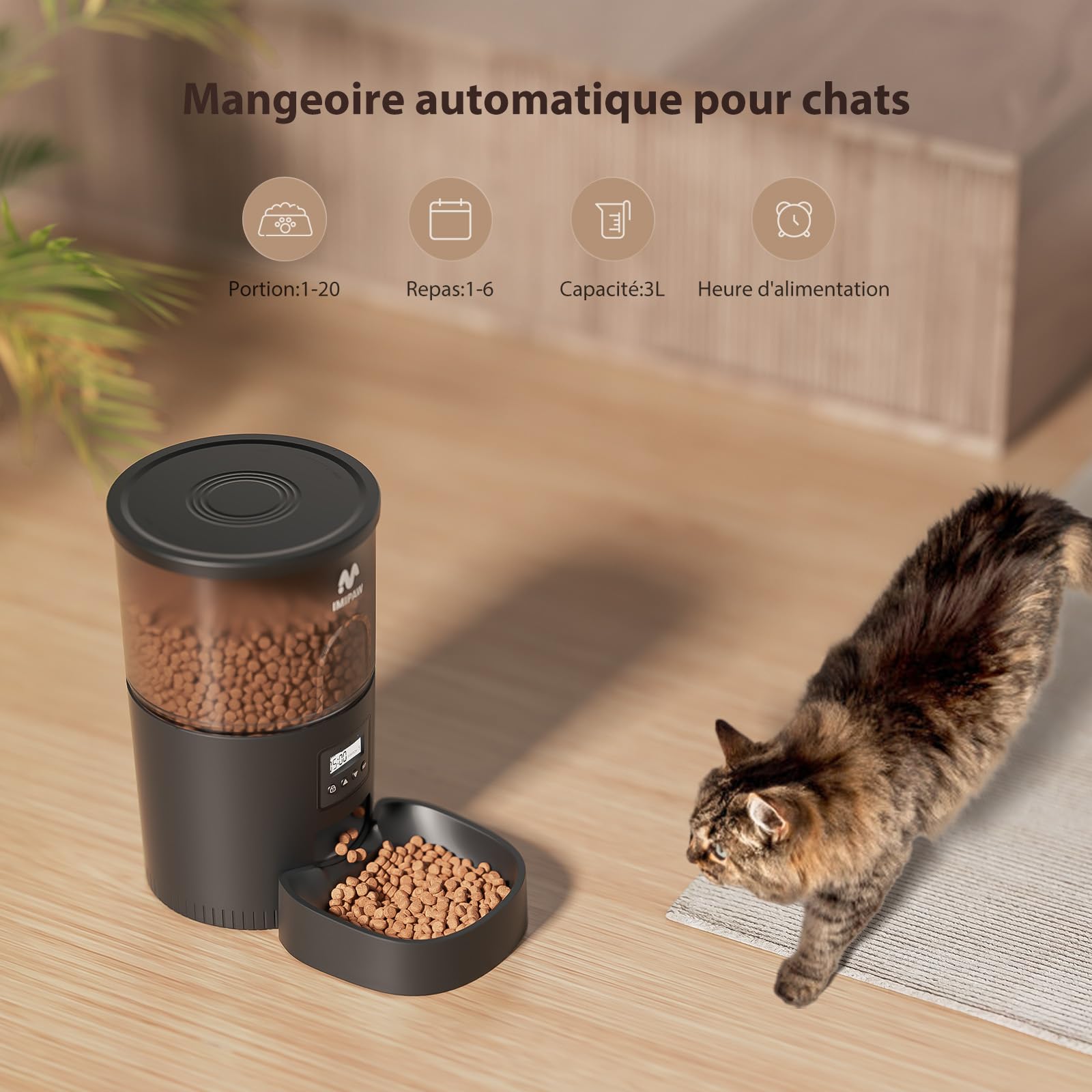 IMIPAW Distributeur Croquettes Chat Automatique et Fontaine à Eau, Distributeur Croquettes Chien Sèche Programmable, 1-6 Repas par Jour, Fontaines a Eau pour Chats avec Filtre, Petits Animaux (Noir)