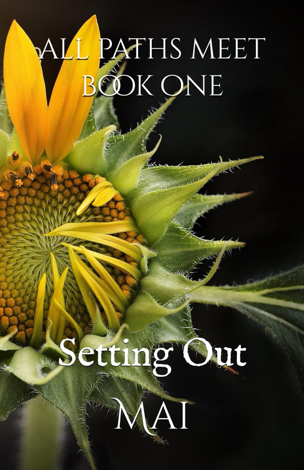 All Paths Meet - Book One: Setting Out