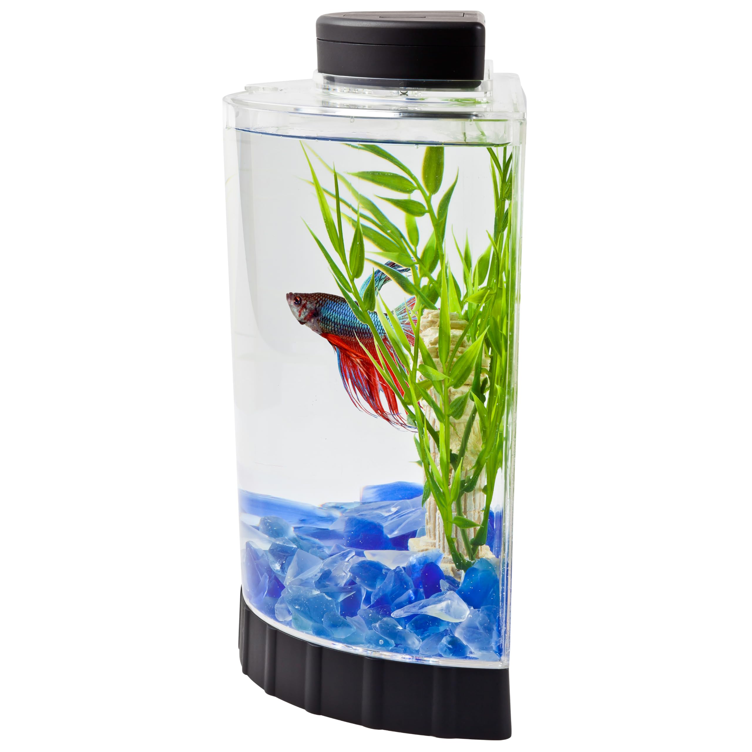 Tetra LED Half Moon 1.1 Gallon Fish Tank Kit for Betta Fish — Amazon image 4