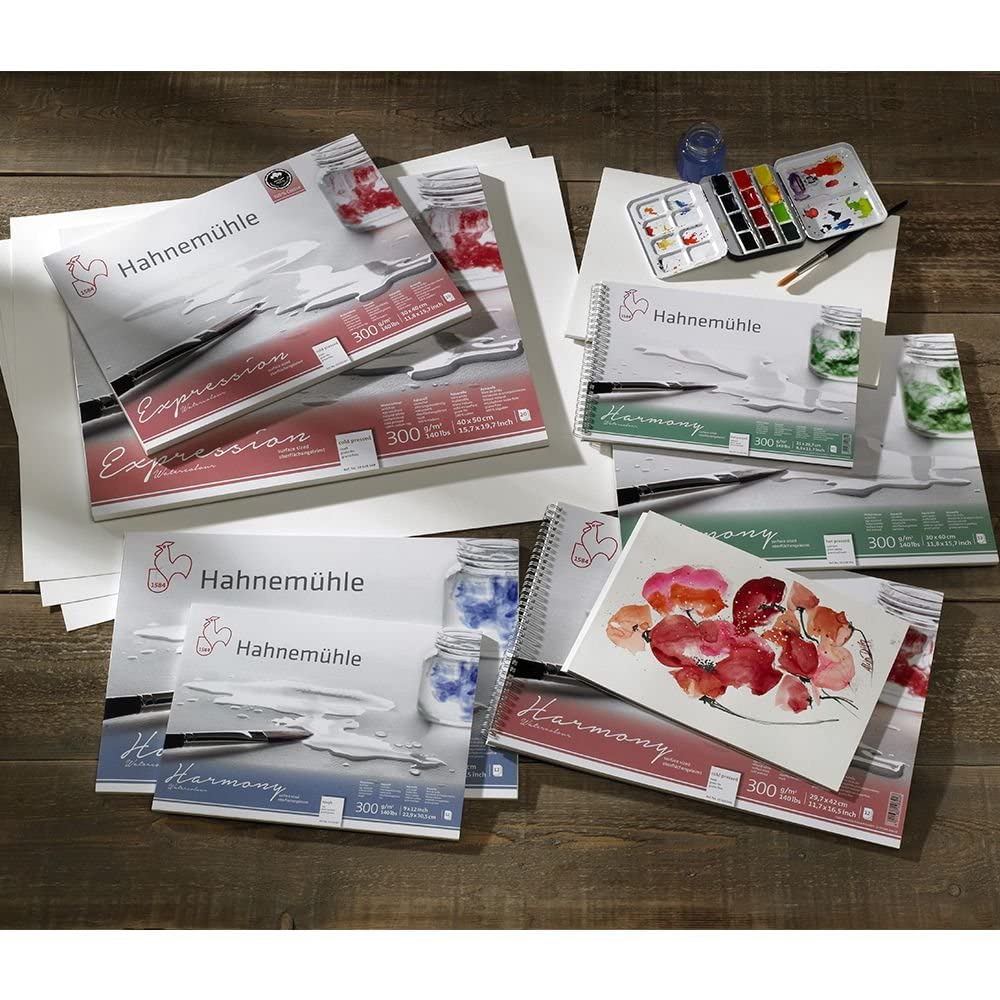 Blocco Acquerello Hahnemuhle Harmony Hot Press A4 - 12 Fogli 300 G/m² Per Artisti E Appassionati - Foto 11