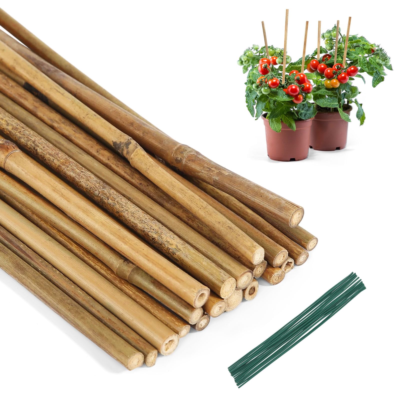 Bambusstbe 20 Stck Pflanzstbe Natrliche Pflanzenstab 40 cm Pflanzstab  mit 20 Kabelbindern Bambus Stbe fr Topfpflanzen und Kletterpflanzen :  Amazon.de: Garten