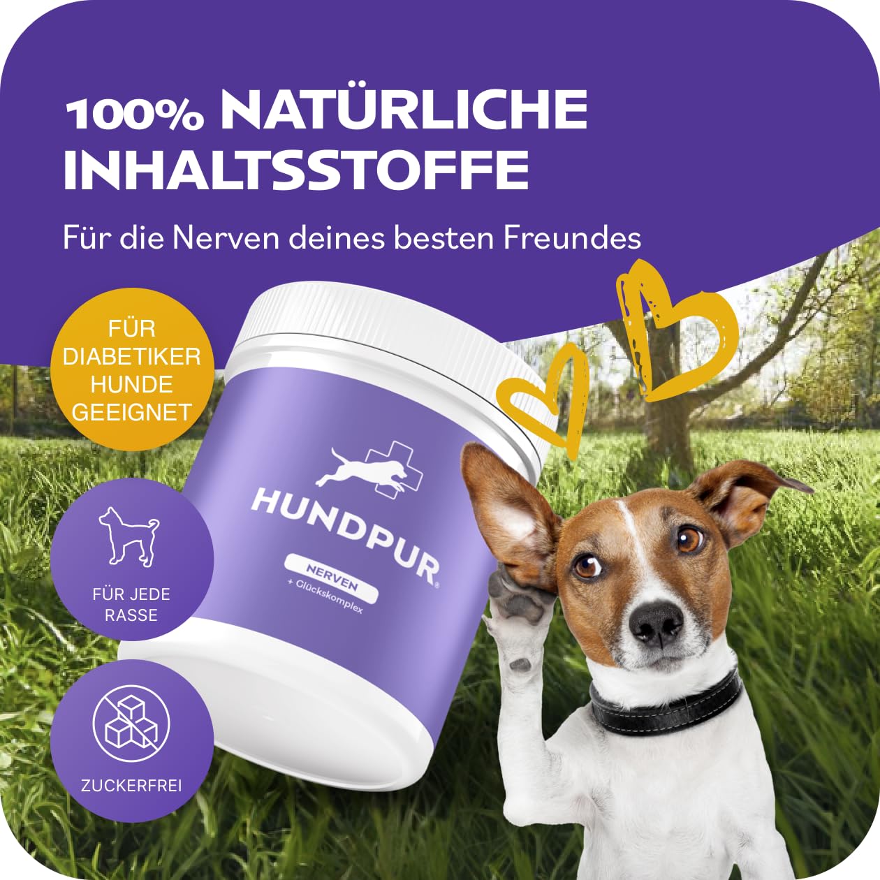 Nervios 300 g – Alimento adicional – Pellets para perros contra el estrés y la ansiedad – con hierba de San Juan, lavanda y magnesio – Fortalecimiento de los nervios del perro – Fabricado en
