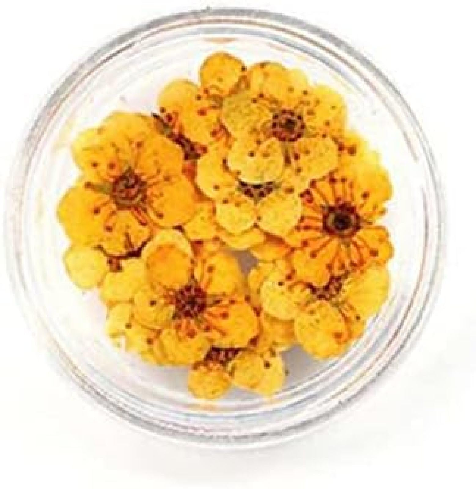 Fiori Pressati Secchi 100pcs Mini Narciso Essiccato Narciso Jonquilla Fiore Pianta Erbario per Gioielli in Resina Epossidica Segnalibro Cartolina Nailart DIY,L105,bonny369