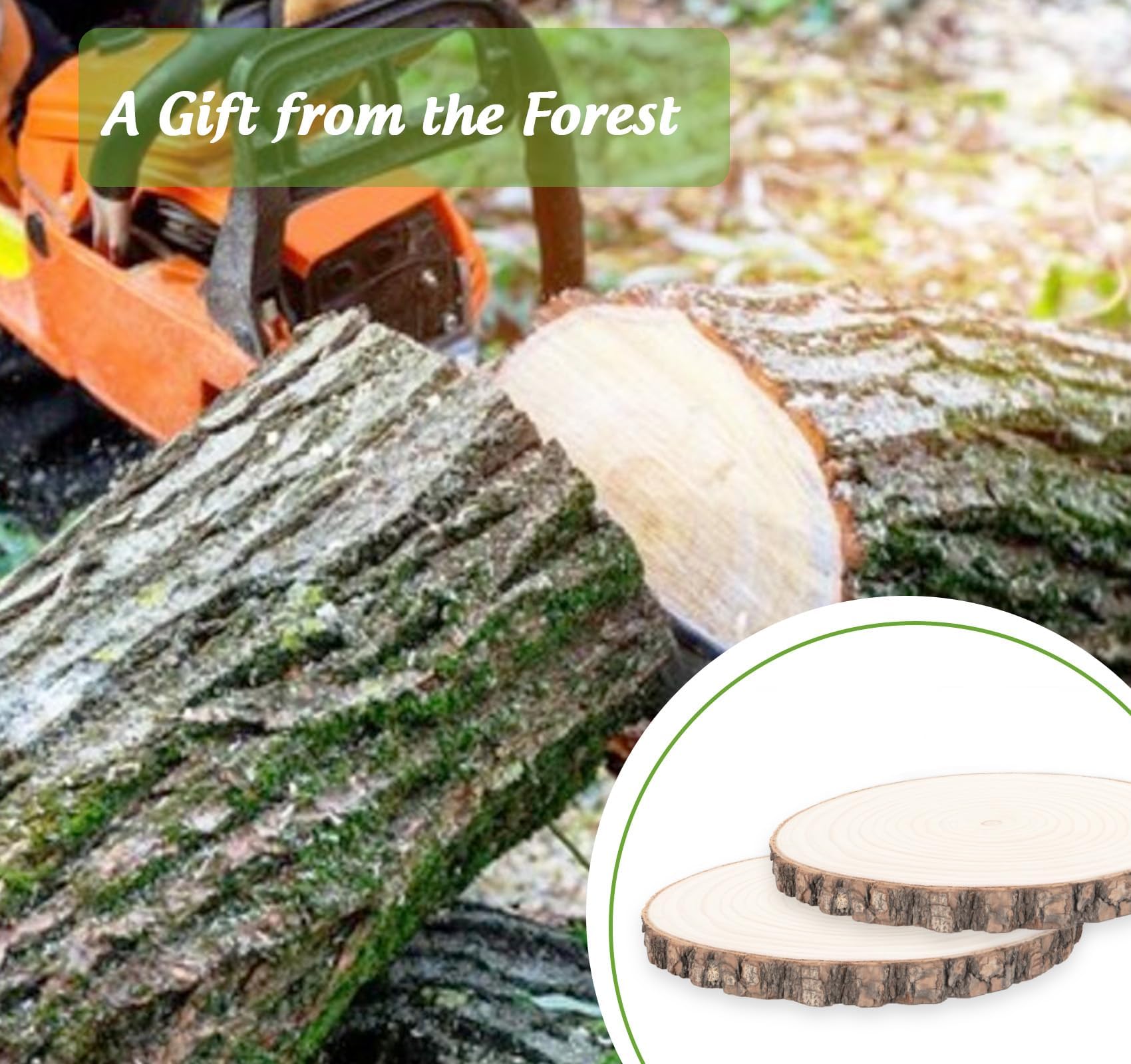 Ilauke 2 Pièces Grands Rondin De Bois De Paulownia Naturel 18-20cm De Diametre,Tranches De Bois Brut Sans Trou,1.5cm Épaisseur Bois Rond Avec Écorce,pour Artisanat Et Décoration De Noël Et Mariage