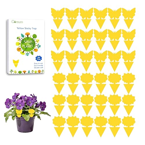 Garsum Fruit Fly Sticky Trap for Indoor and Outdoor, 36