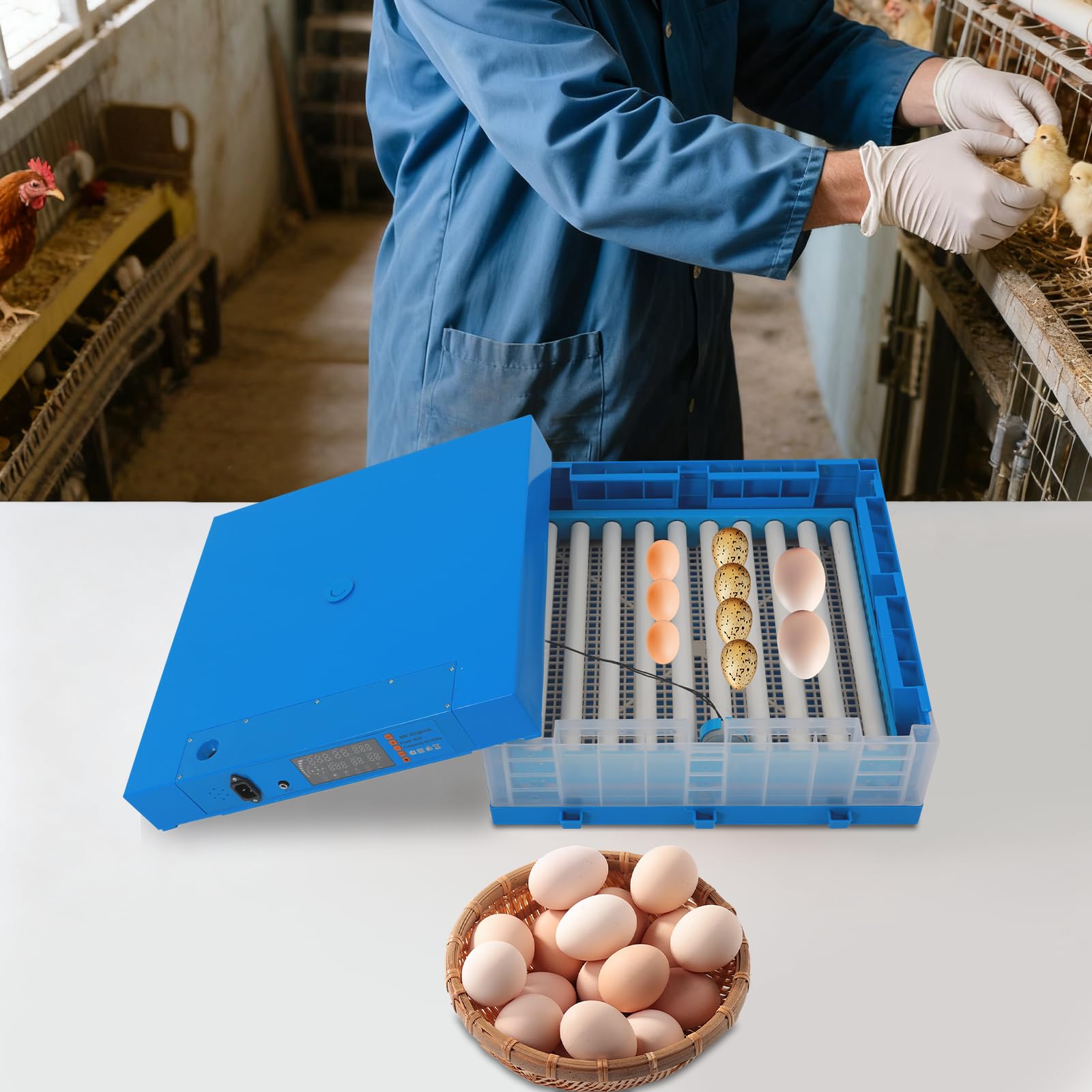 Incubatrice completamente automatica, incubatrice per uova di gallina, quaglia, incubatore per 64 uova con rotazione automatica delle uova, design a temperatura costante, temperatura e umidità