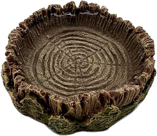 Miniatura 3 de Plato pequeño de comida para reptiles, paquete de 2 cuencos de comida para reptiles para dragón barbudo, gecko, lagarto, rana, cangrejo ermitaño,