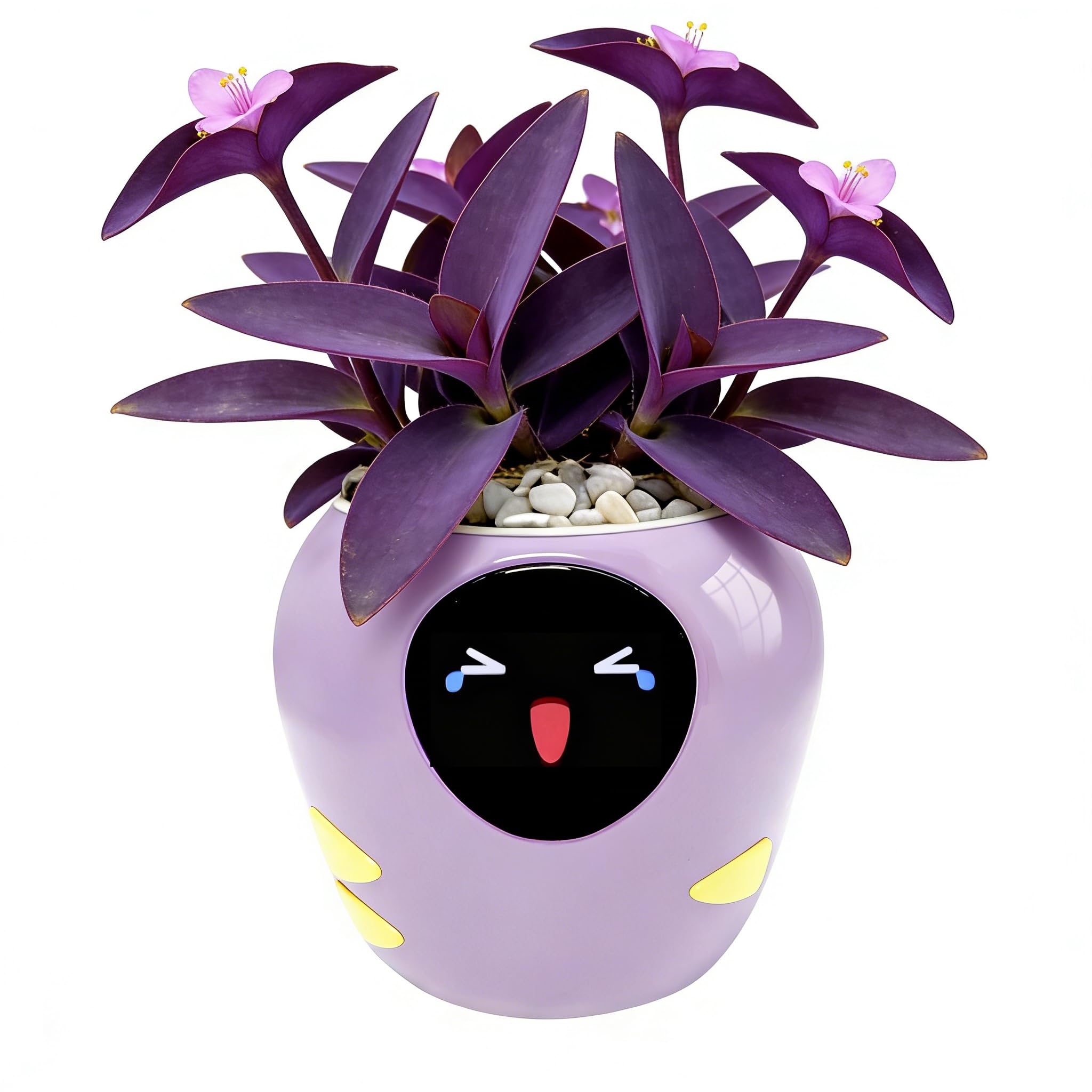 OUSEITECH Upgraded Large Smart Pet Flower Pot, Planting Assistant With Lively Expressions For Plants To Converse With You, Various plant care data, Moisture/Soil/Light/Temperature Monitoring