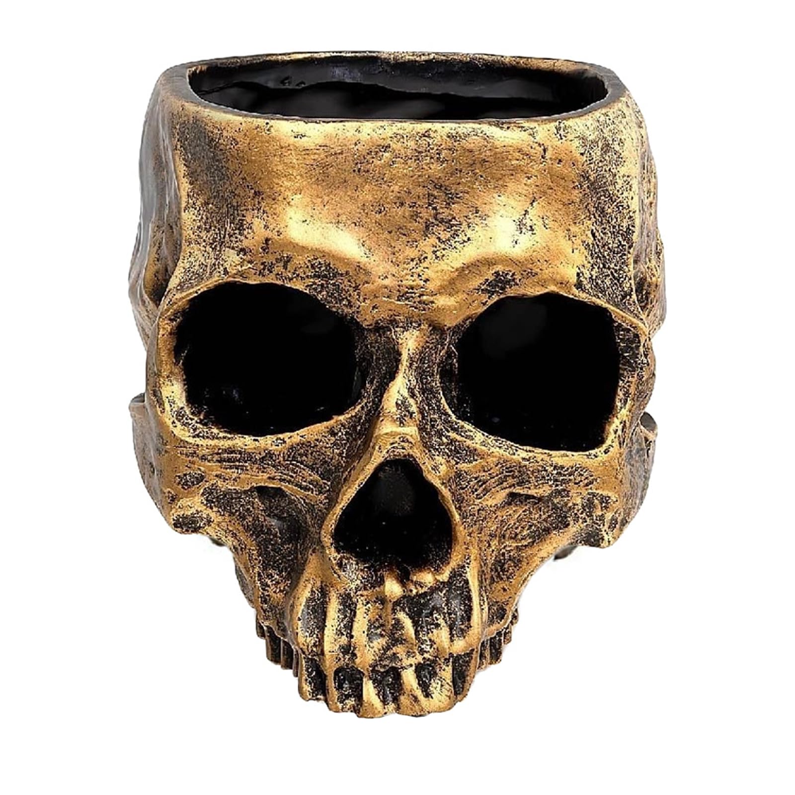 Creative Bronze Finish Skull Planter Serves As a Space Saving Keeper for Keys and Tiny Belongings Resin Skull Vase