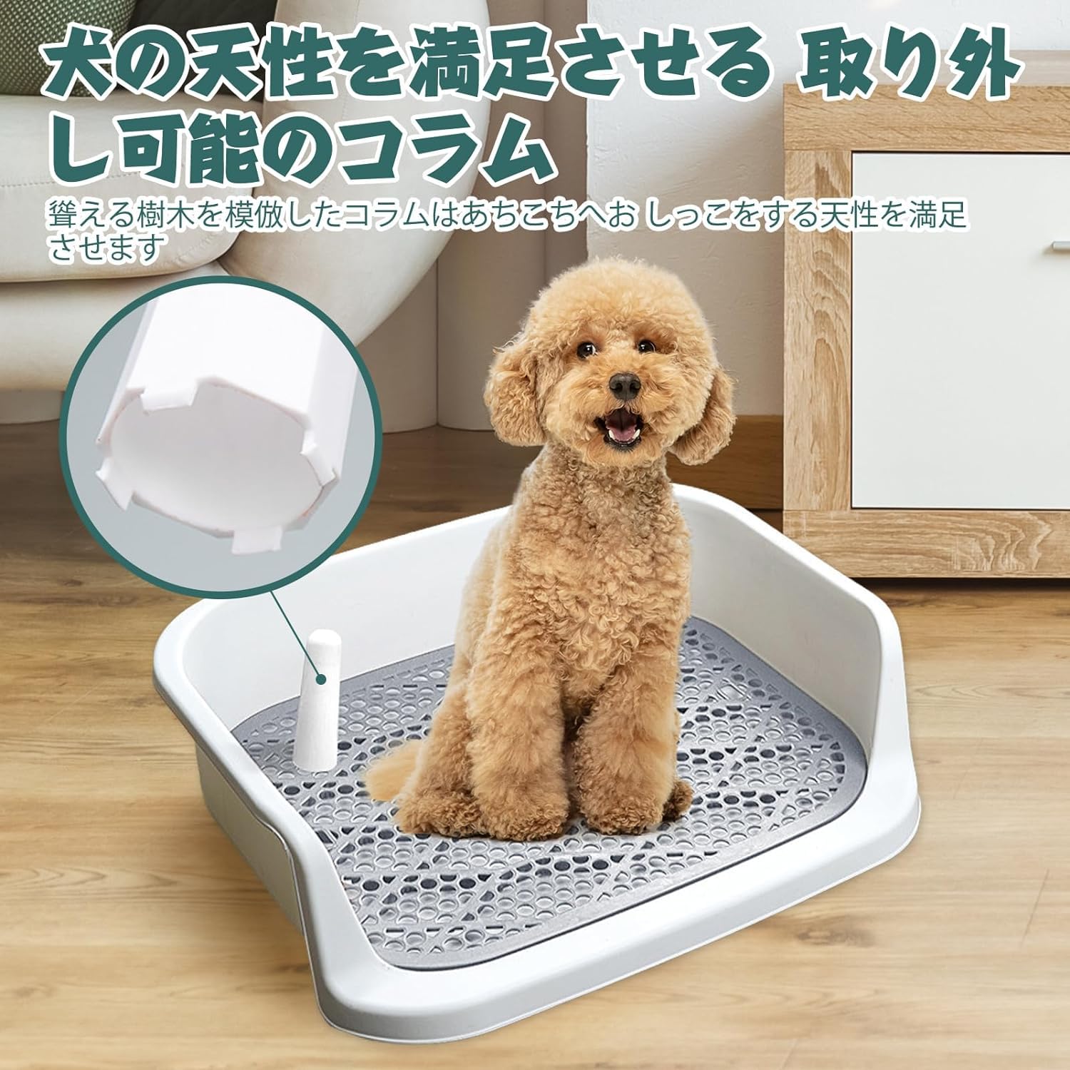 Amazon | Kwueiit犬用トイレ、防滴自動洗浄、ペット用トイレ、トイレ