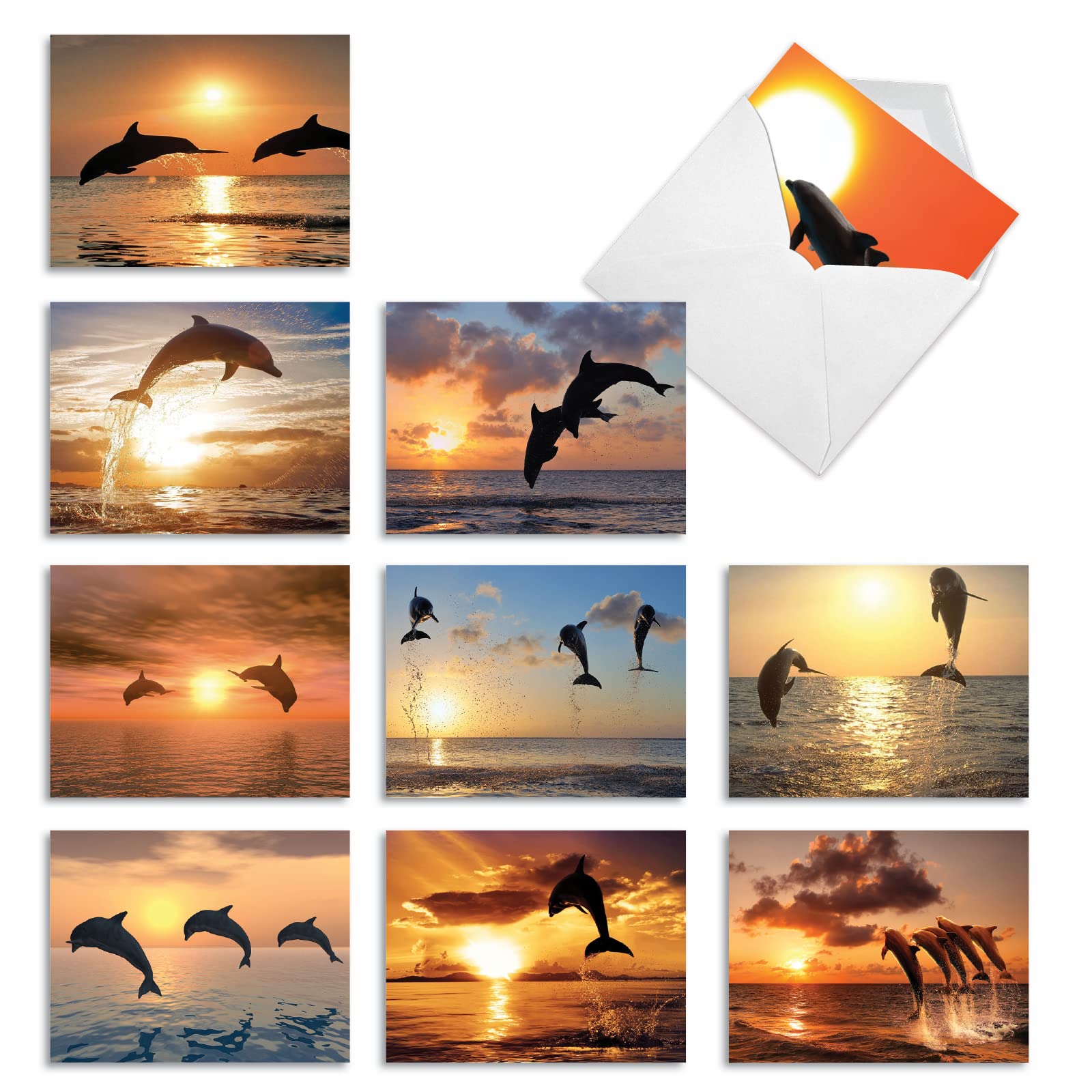 The Best Card Company - 10 Blank Animal Cards Boxed (4 x 5.12 Inch) - Assorted Pets, Zoo, Wildlife Cards for Kids - Sunset Dolphins M6460OCB-NB