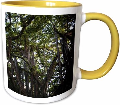 3dRose Banyan Trees in Hawaii 15oz Two-Tone Yellow Mug