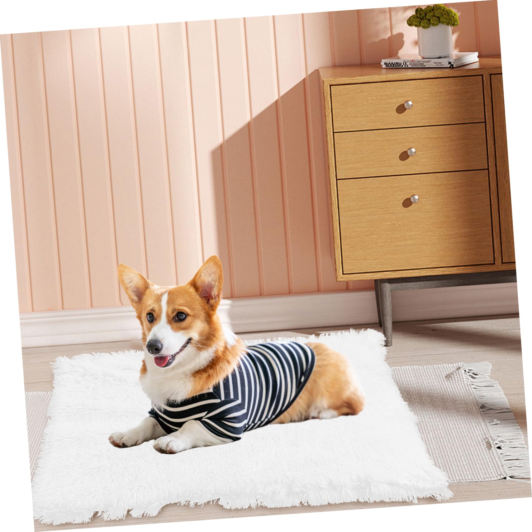 BESPORTBLE 3 Piezas Alfombra para Mascotas Perrito Estera De La Cama del Perro De La Felpa De o De Peluche Pequeña para Mascotas Estera para os Sherpas