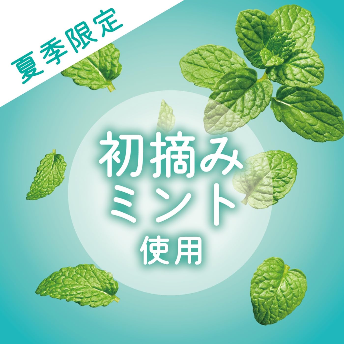 Amazon | ロッテ 2025ガーナミントチョコレート 33g×10個 | ロッテ