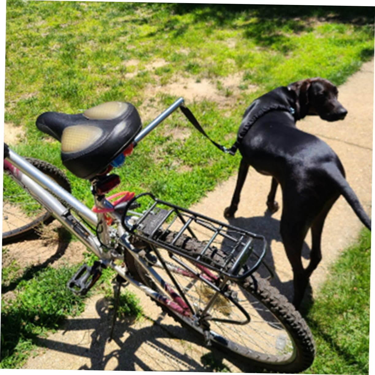 Guinzaglio per Cani da Bicicletta Robusto Design Ergonomico Oxford e Lega, Adatto per Cani Piccoli e Medi Durante Viaggi o Attività Indoor