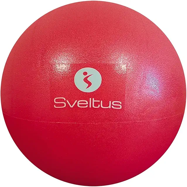 Sveltus Educational Yoga Ball for Muscle Building and Relaxation