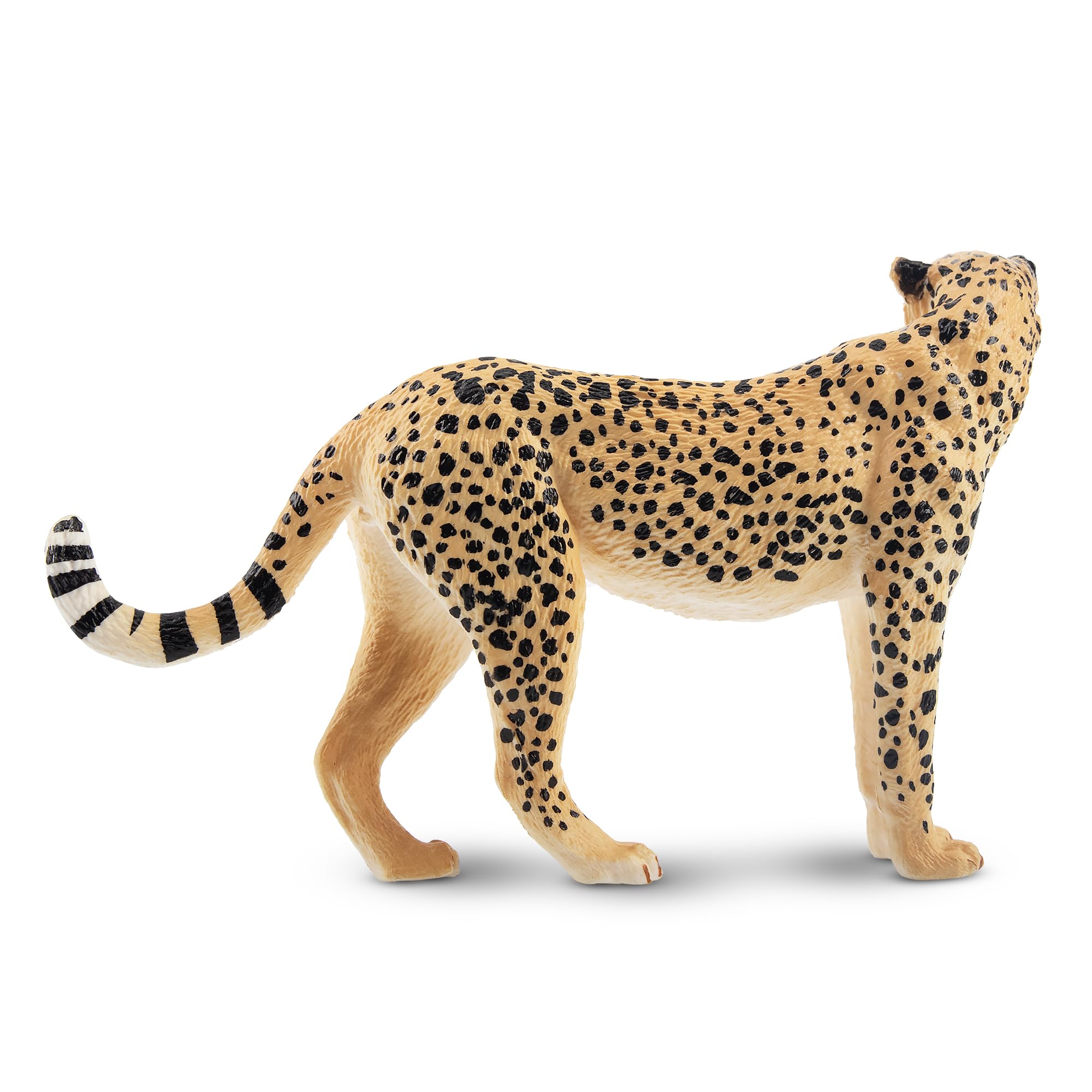 TOYMANY Gepardy figurki zwierząt, las, zwierzęta, figurki, 9,6 x 2,7 x 6,2