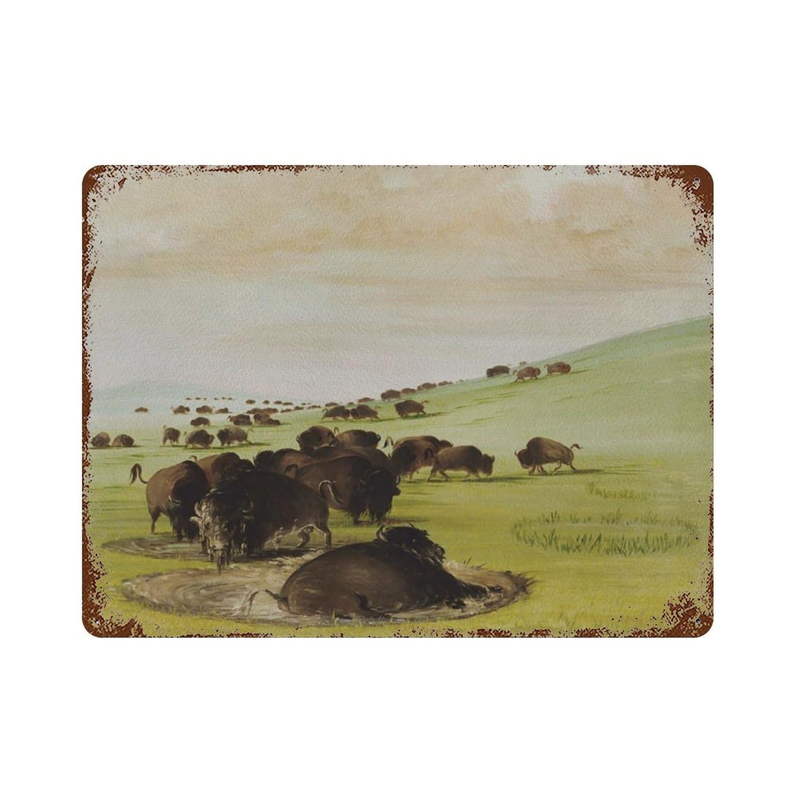 xiaoxiaoshen A Herd of Bison in A Retro Style, Buffalo Country-style Home. Wall Decor Art Metal Tin Poster Modern Home Decor Art Home Bar Shop Decorations Vintage Sign 30x40cm