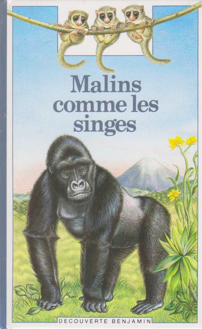 MALINS COMME LES SINGES [Paperback]