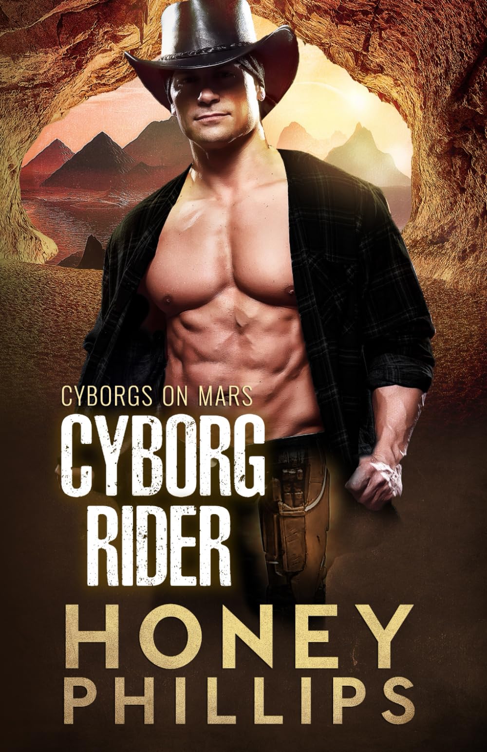 Book cover for Cyborg Rider
