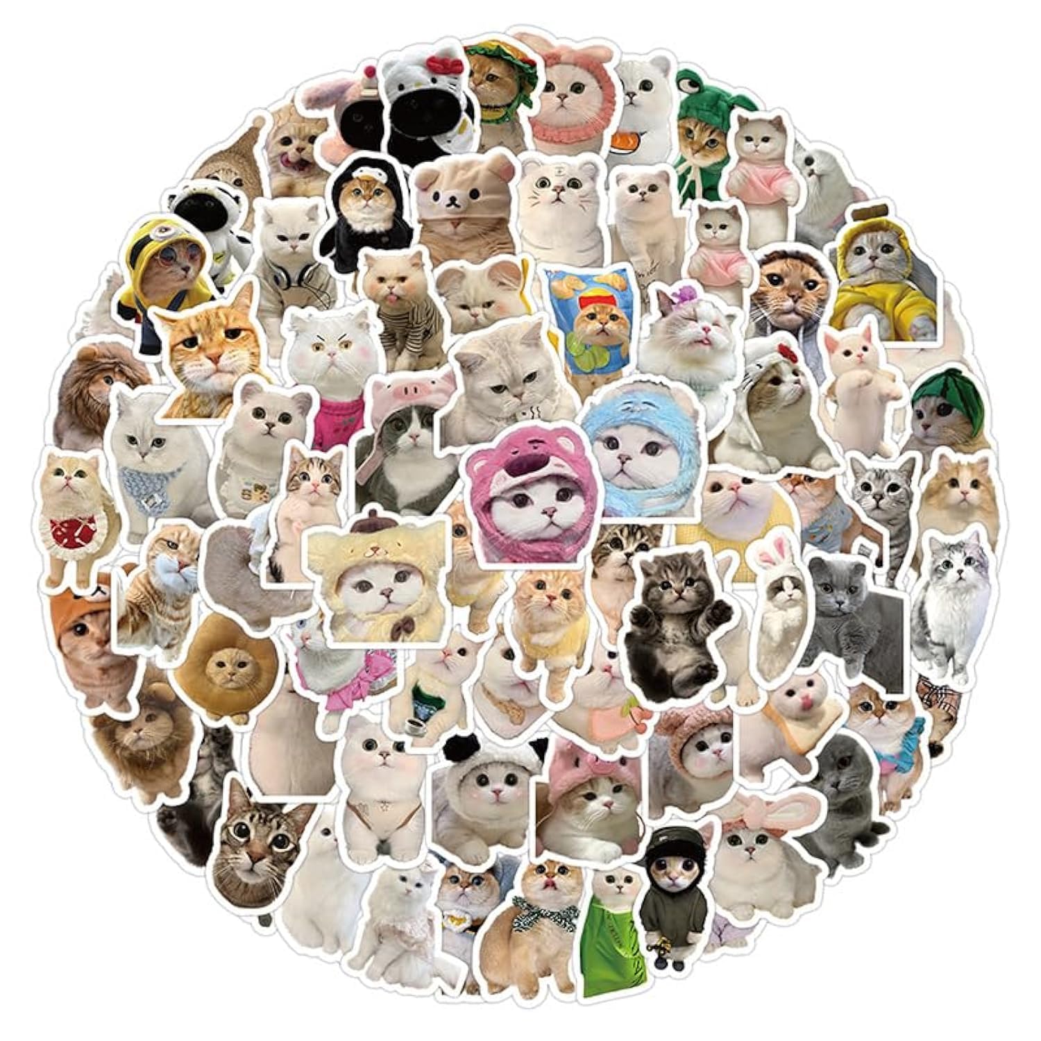 MAIGO 100PCS Cat Stickers - Kawaii Cute Cat Stickers,Waterproof Vinyl Cute Cartoon Mixed Sticker Decals for Laptop Scrapbook Water Bottles Skateboard Scrapbook,Pack Cute Cat Gifts Merchandisestickers