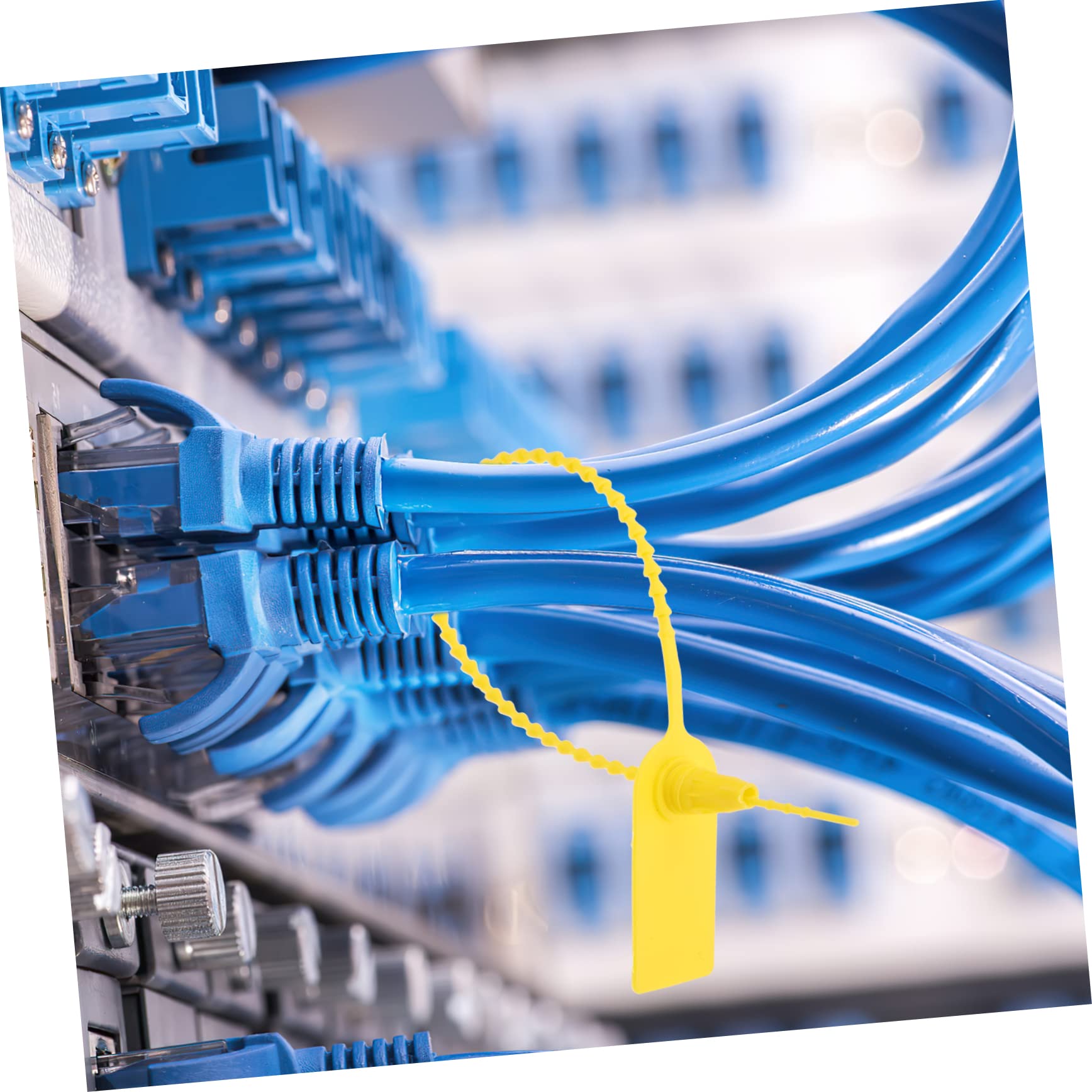 WHAMVOX Tamper Seals Disposable Self-Locking Tie Security Zip Ties Disposable Self-Locking Tags Waterproof Labels