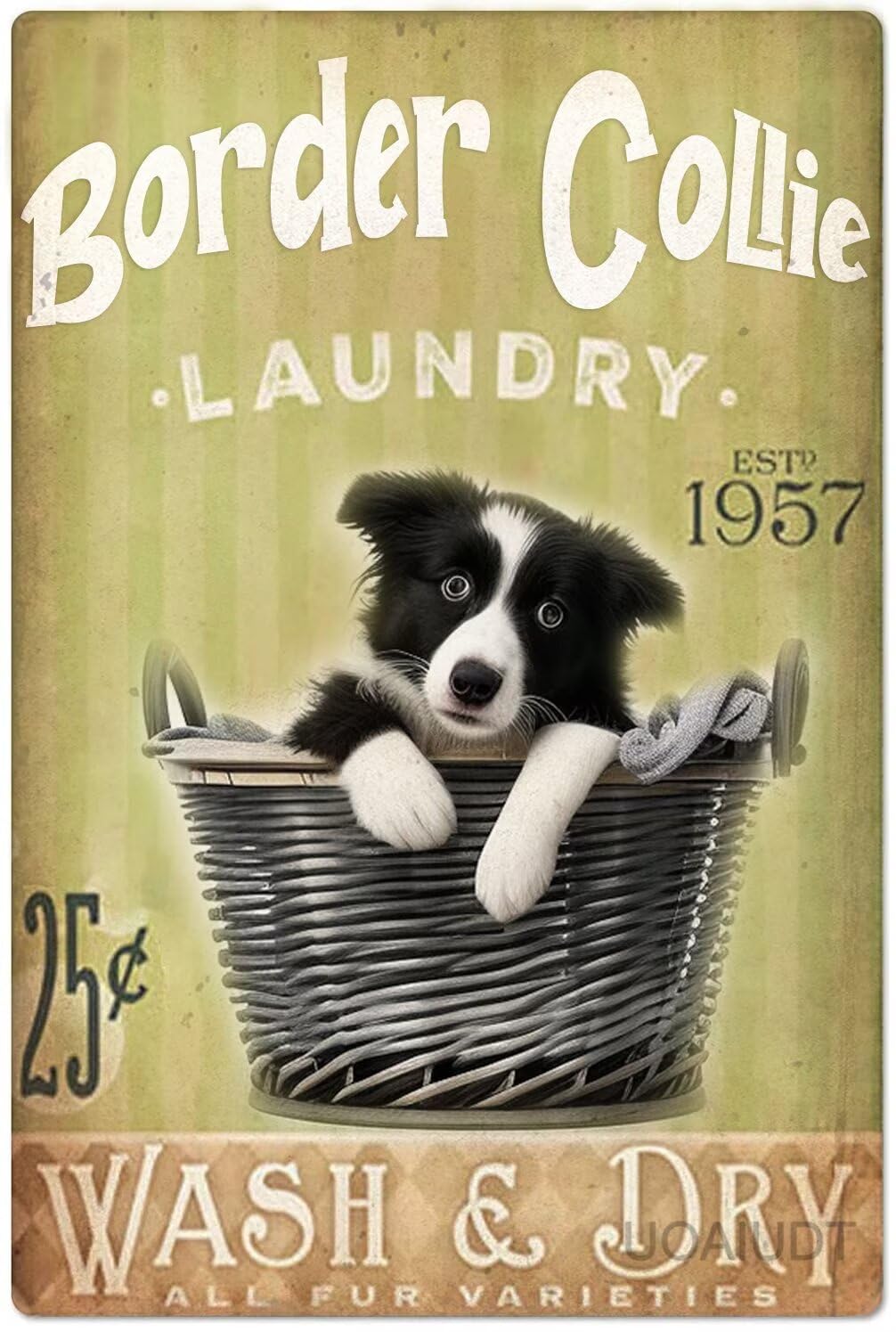 Anceky Laundry Signs Wall Decor Border Collie Laundry Metal Signs Dog Tin Signs Retro Plaque Wall Decor For Home Kitchen Office Club Bar People Cave Gym Vintage Poster 12x16 Inch