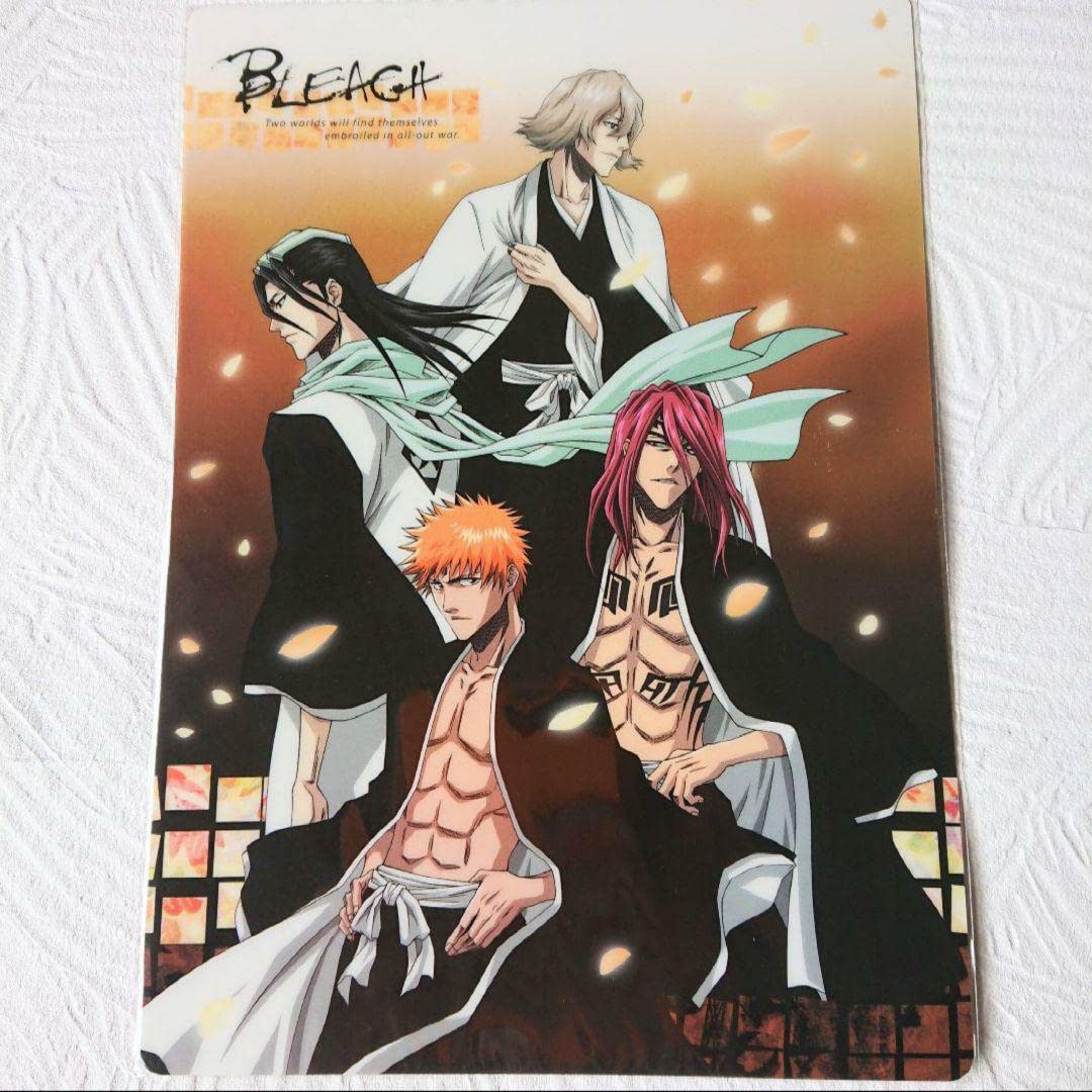 BLEACH ジャンプフェスタ2009限定 生ブロマイド 一護 日番谷 BLEACH ジャンプフェスタ 生ブロマイド 黒崎一護 日番谷冬獅郎