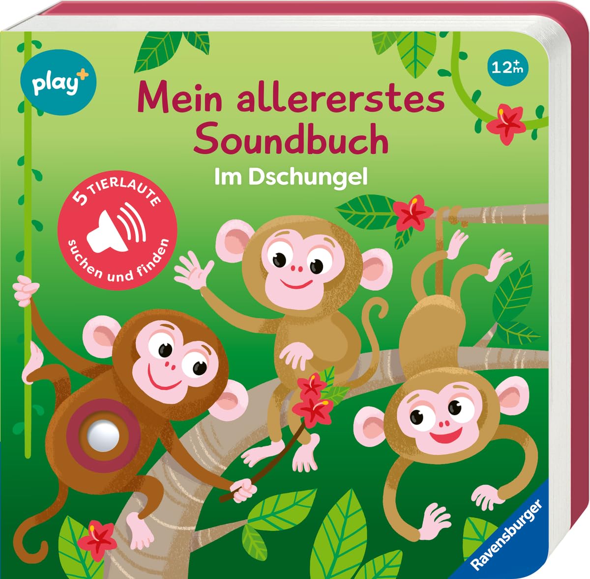 Play+ Mein allererstes Soundbuch Im Dschungel - ab 12 Monate: Sachen suchen und hören