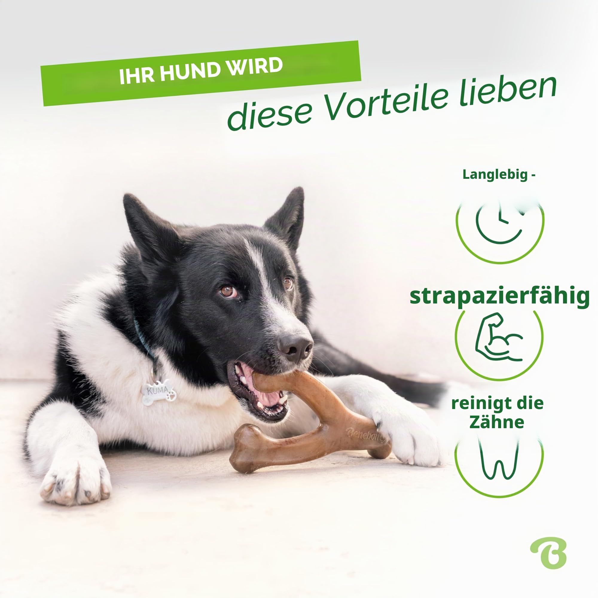 Benebone Wishbone für Hunde, mittlerer Speckgeschmack – Knochenspielzeug für energiegeladenes Kauen