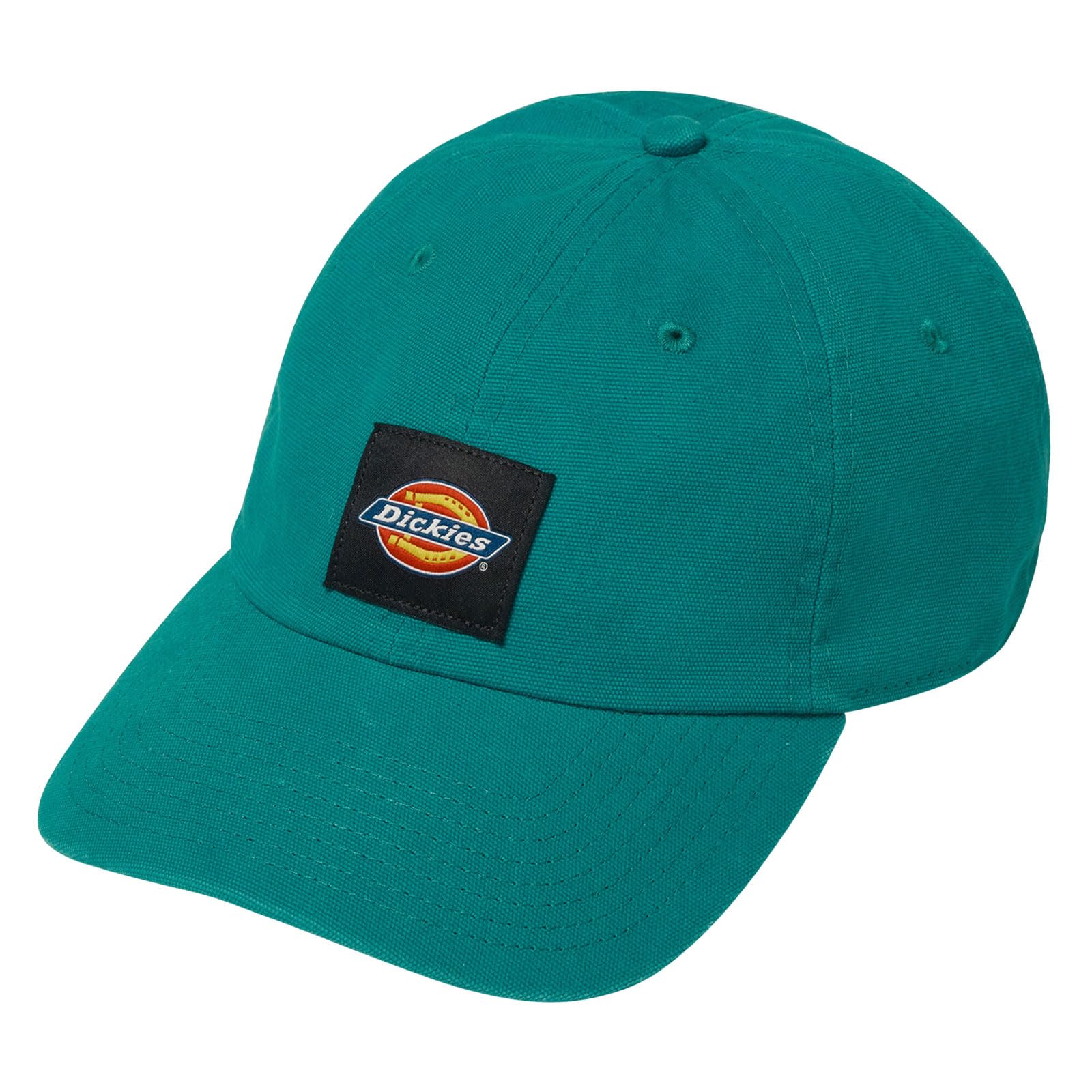 Dickies Men's Deep Lake Washed Canvas Cap Snapback Hat