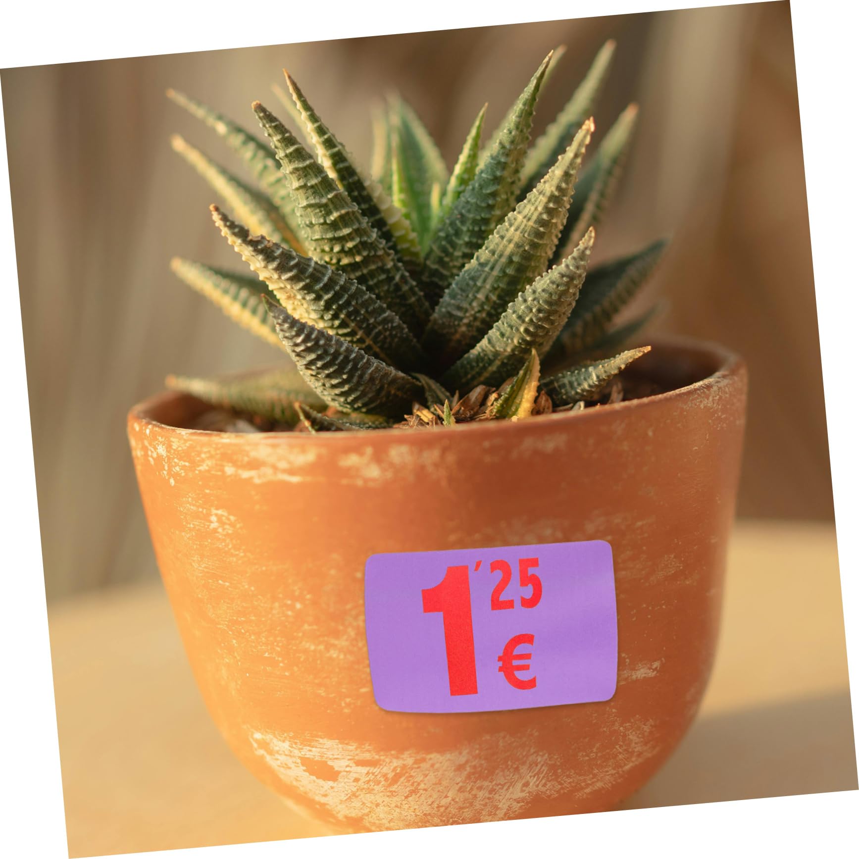 NUOBESTY 5 Di Etichette Adesive Termiche Compatibili Con Stampante Carta Adesiva Rettangolare Per La Codifica Fogli Di Etichette Autoadesive Bianche