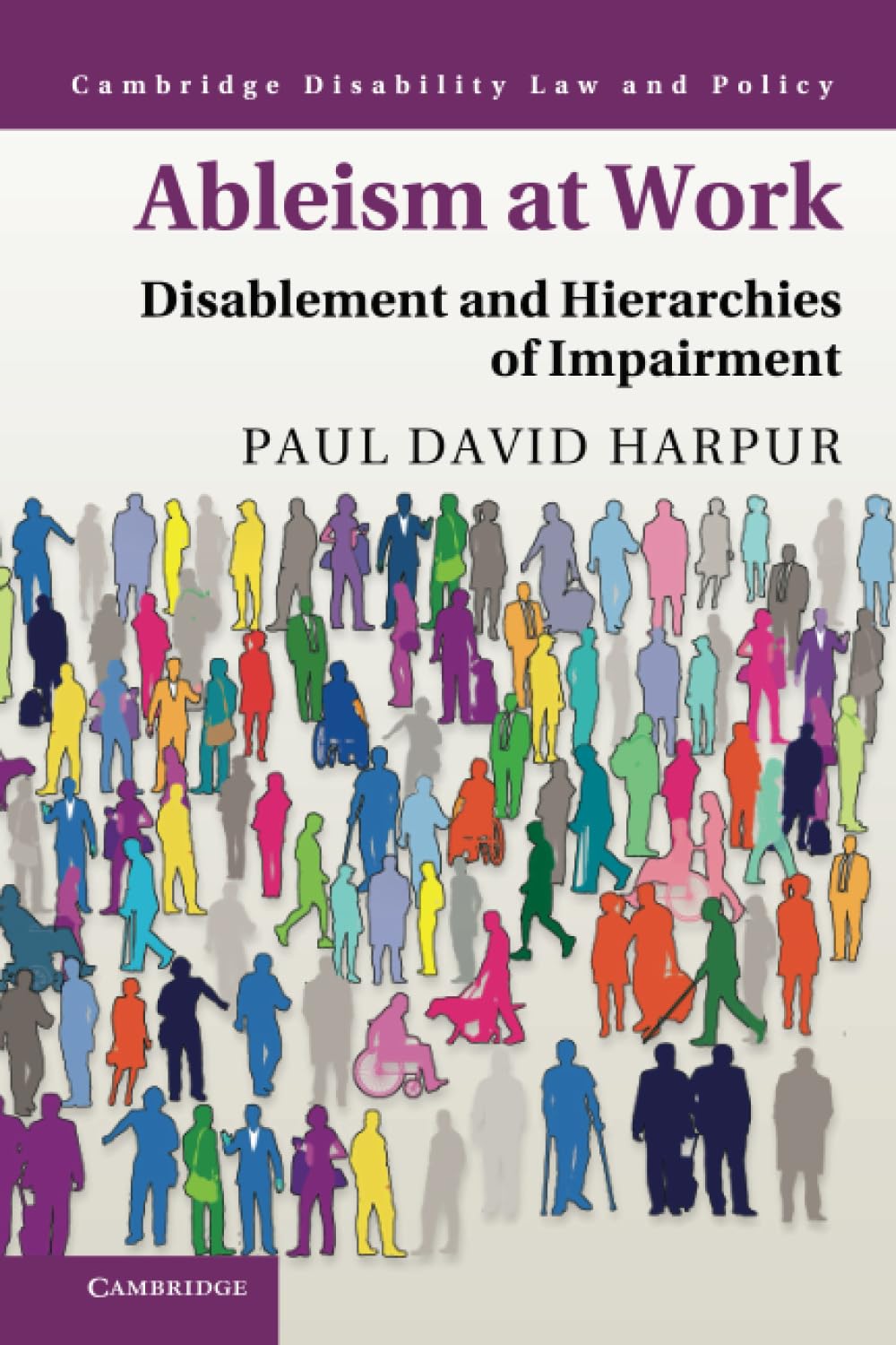 Ableism at Work: Disablement and Hierarchies of Impairment (Cambridge Disability Law and Policy Series)