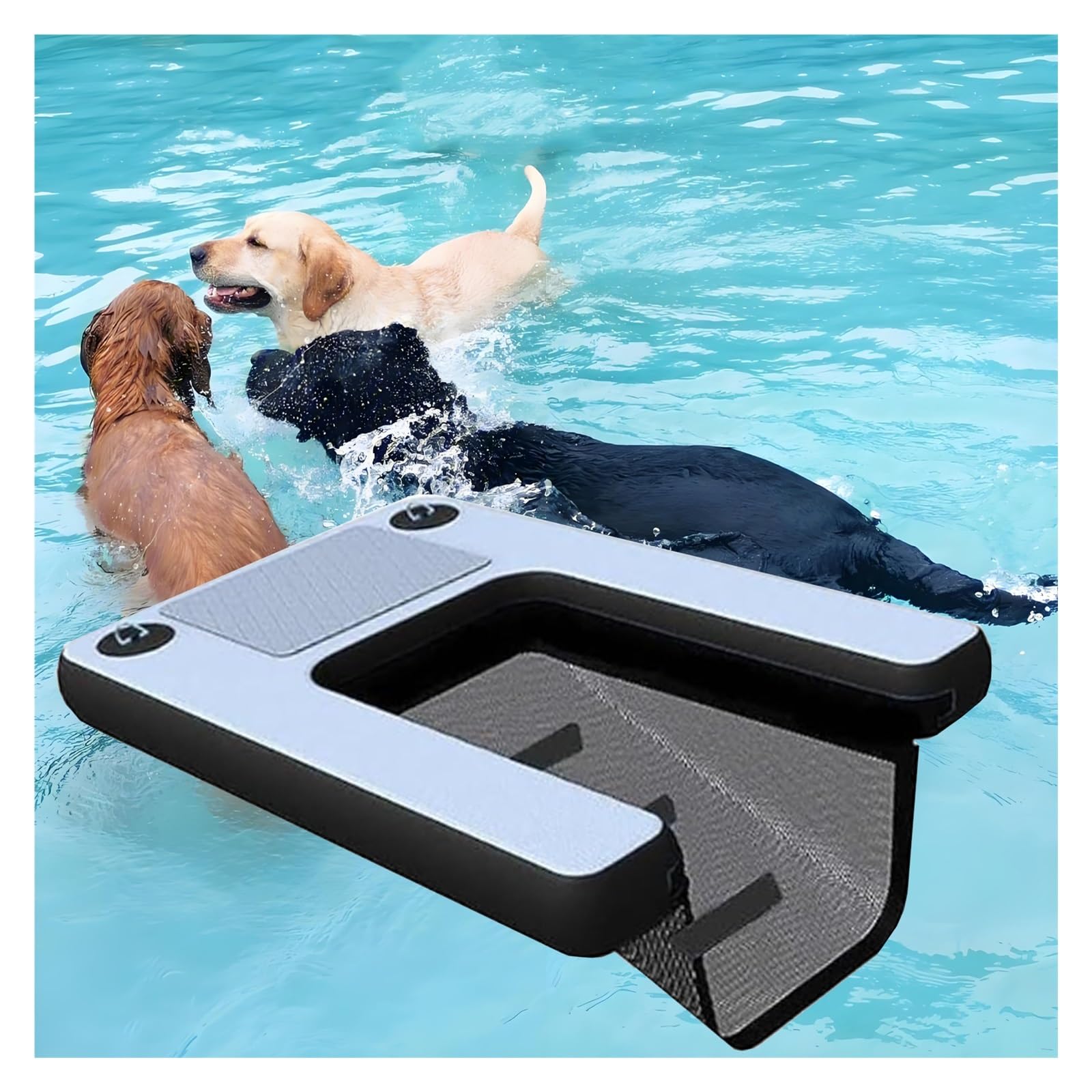 rampa gonfiabile per cani Rampa Per Piscina Per Cani Fuori Terra, Scala Per Cani Pieghevole Per Barca, Con Cuscinetto EVA E 3 Maniglie In Nylon, Zattera Per Cani Da 1,5m Facile Da Trasportare E Conser
