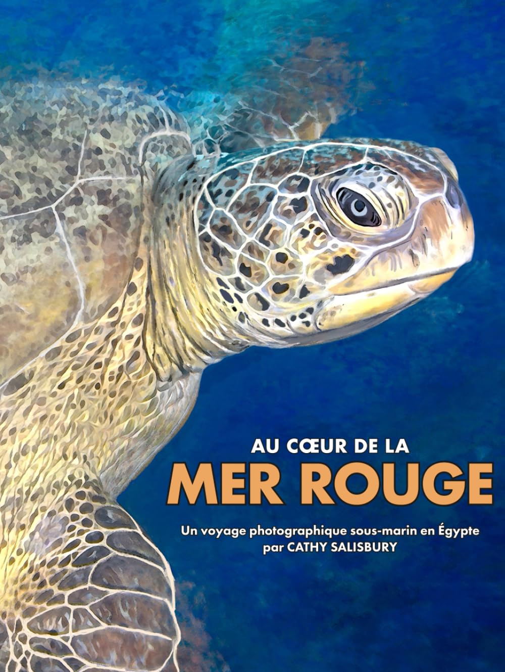 Au cœur de la MER ROUGE: Un voyage photographique sous-marin en Égypte