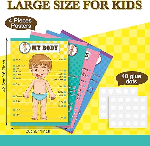 Miniatura 2 de Carteles educativos de aprendizaje del cuerpo humano, partes del cuerpo, tabla de pared de aprendizaje para niños, tabla de anatomía de dibujos