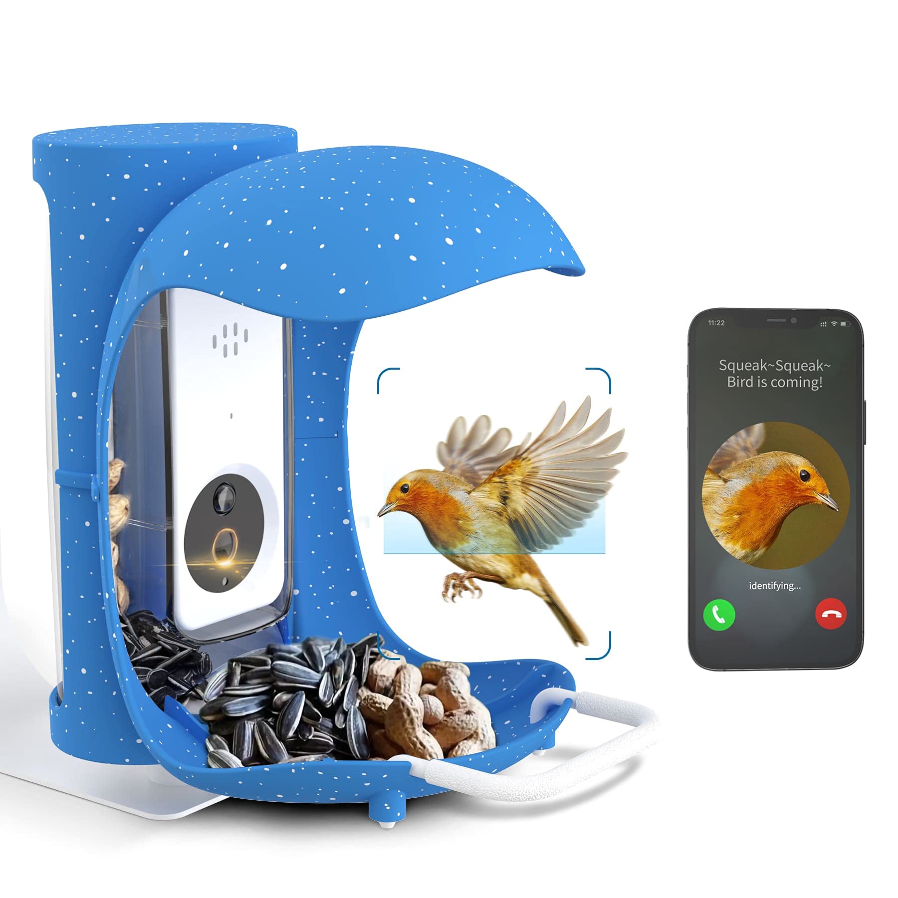 Buy PalProt Smart Bird Feeder [AI Re] Notify You of Birds & Recognize Bird Species(Over 10,000
