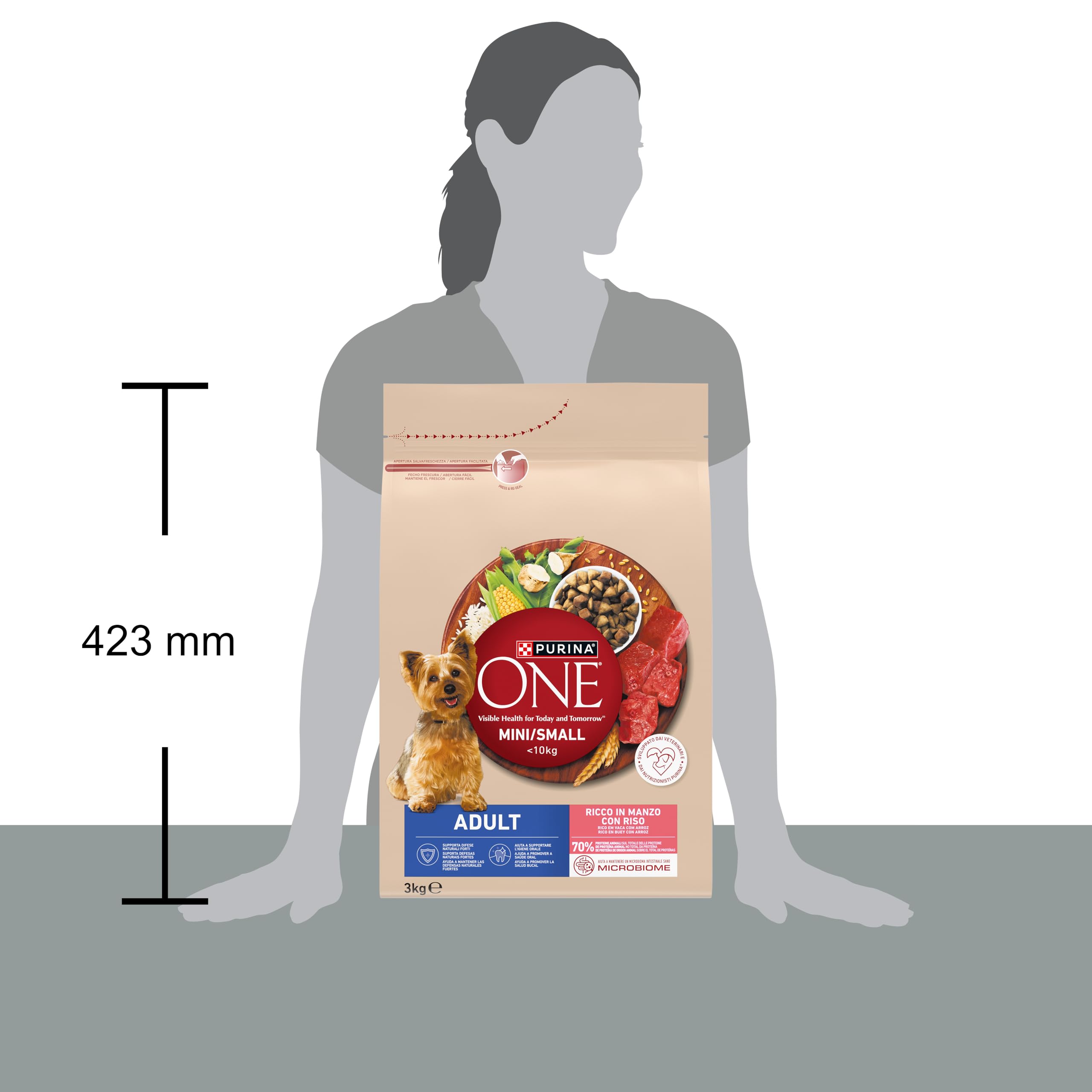 Purina ONE MINI Crocchette Cani Adult con Manzo e Riso, 1 Sacco da 3 Kg