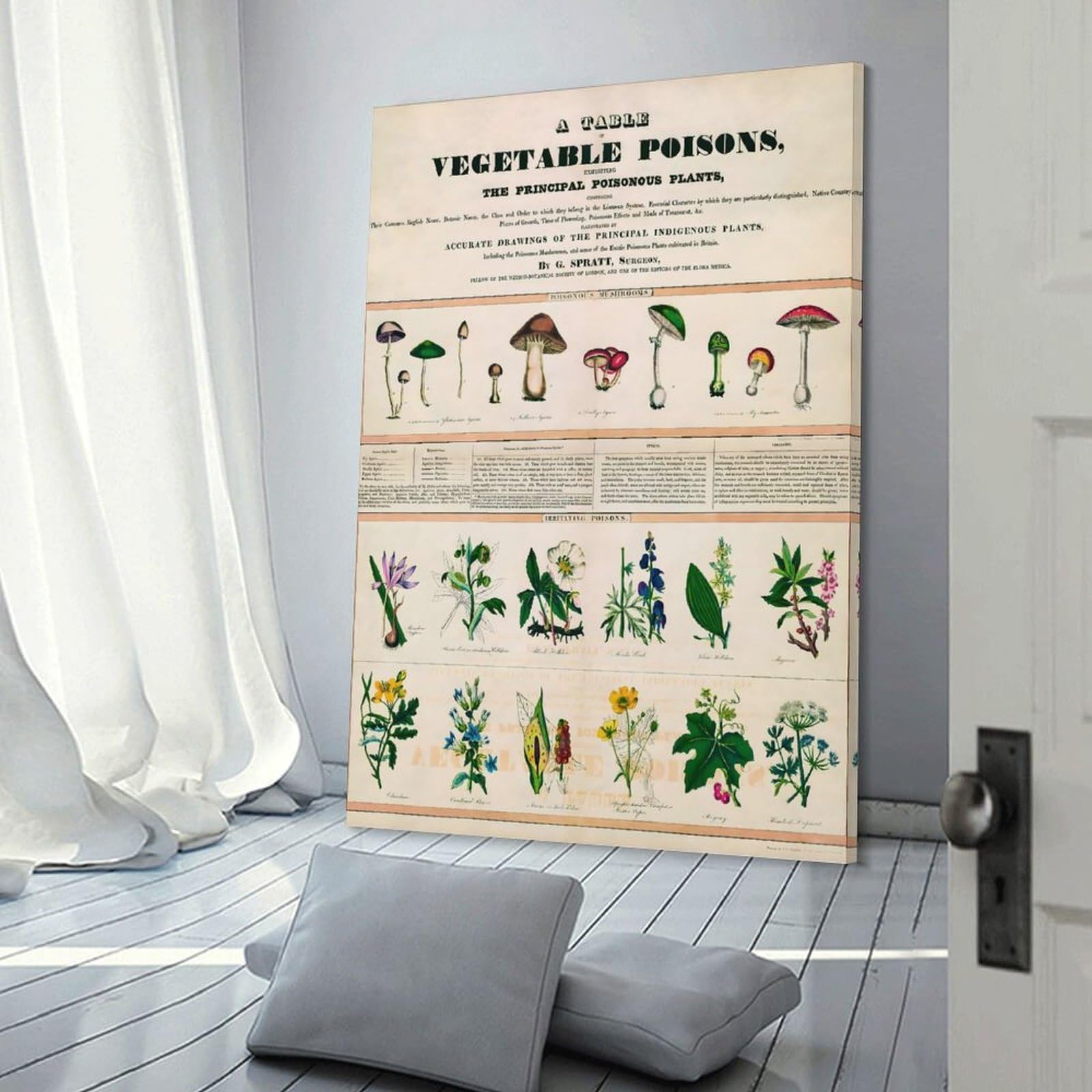 Junmoney Botanical School Canvas Art Print 24x36inch(60x90cm), for Front Hall, Corridor Or Welcome Spaces, Home Artwork for First Impressions