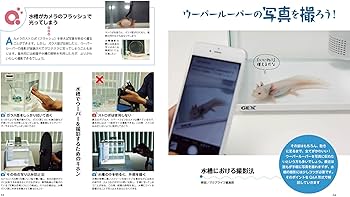 ウーパールーパーと もっと! 仲良くなれる本 (アクアライフの本