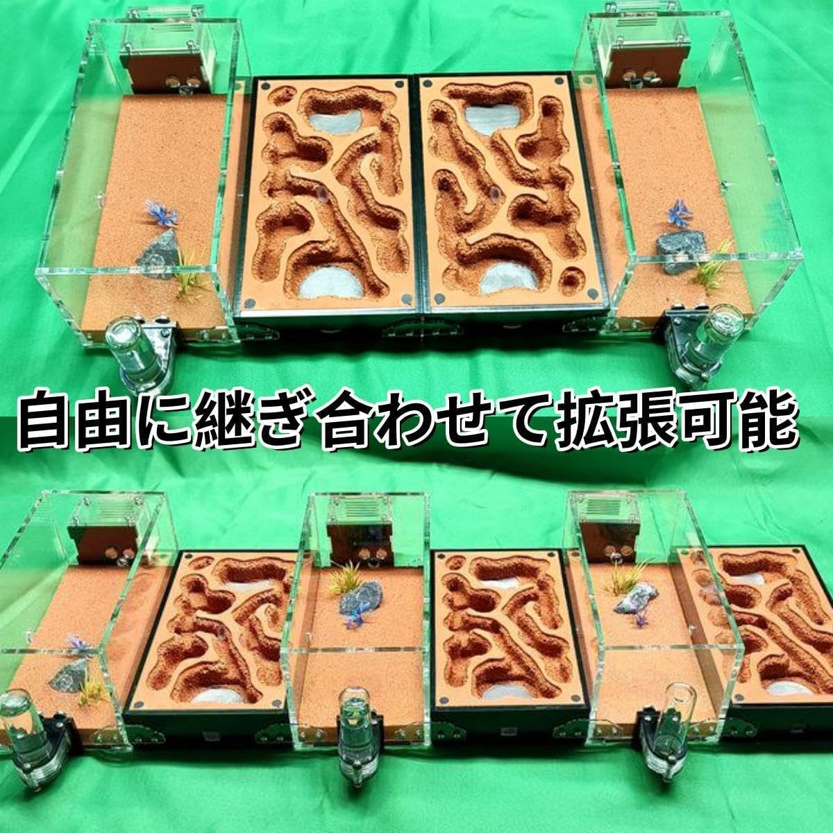 Amazon | アリ飼育キット、腐敗せず、清潔、土や接着剤不要、アリの巣