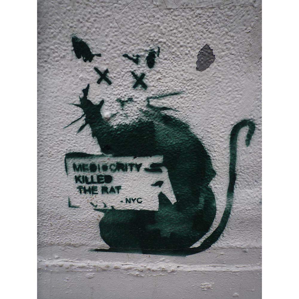 Wee Blue Coo Banksy Mediocrity Killed The Rat Graffiti Street Art Print Poster Wall Decor 12X16 Inch